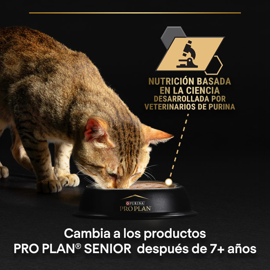 85 g Pro Plan Adult Delicate Mousse de Peru em lata para gatos , , large Imagem n&uacute;mero 7